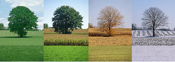 开放世界生存新作《冰封之焰》抢先体验日期公布