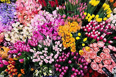 《上古卷轴5：重制版》新MOD加入高品质体积雾